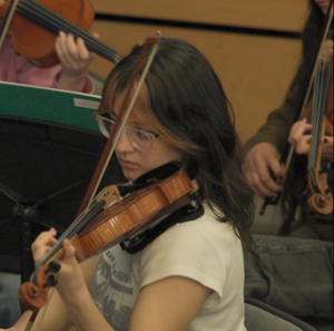 Orchestra member playing violin